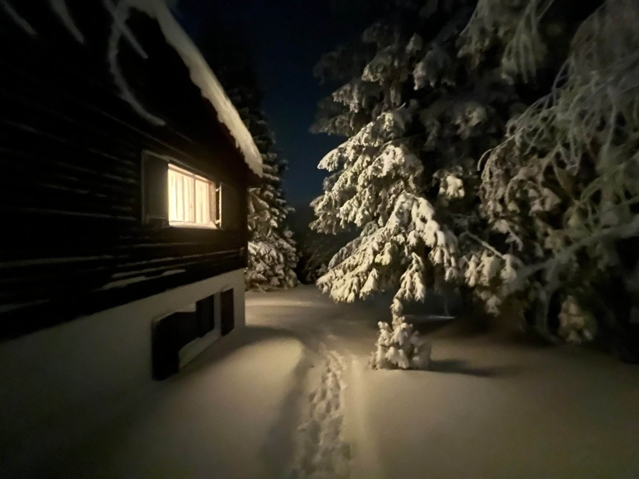 Winterzauber im AlpineChalet Malix – ein gemütliches Chalet, eingebettet in verschneite Tannen, mit warmem Licht, das in die verschneite Nacht hinausstrahlt. Perfekt für ruhige Winterabende und pure Erholung in der Natur. 